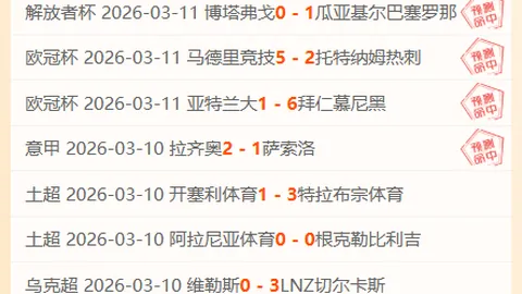 “湖人双星未来可期：詹姆斯与东契奇或并肩作战”